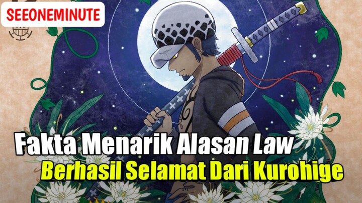 Inilah Alasan Law Selalu Selamat Dari kematian Dan Kurohige || One Piece