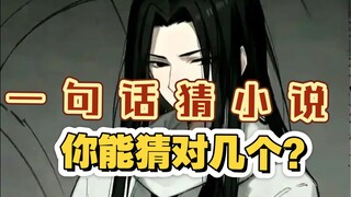 只说一句话，猜出小说的名字，答对五个以上才是真正的老书虫