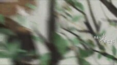 Pháo Hoa Nhân Gian EP 40 [Sub Việt]