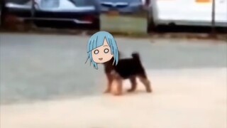 Miwa Kasumi choáng ngợp