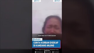 Cerita Ibu yang Disekap di Kandang Anjing Oleh Manajer PT di Bangka