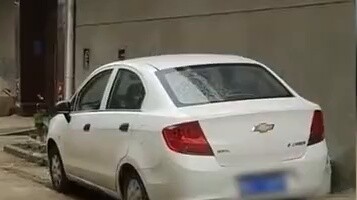 Những chú vịt của hai gia đình hàng xóm tạo thành một đội mỗi ngày với cảm giác nghi lễ. Người chủ c