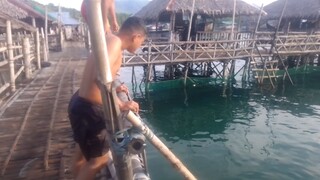 Swimming time to my friends