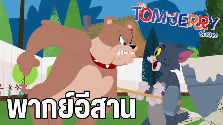 ทอมแอนด์เจอร์รี่ (พากย์อีสาน) ตอน สร้างสระน้ำ