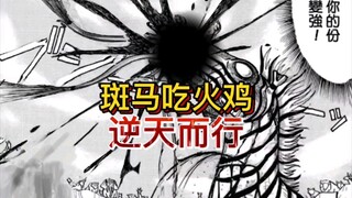 《真异种格斗大战》19  斑马吃火鸡 这是什么仪式? 神秘新手出场 一招秒野猪