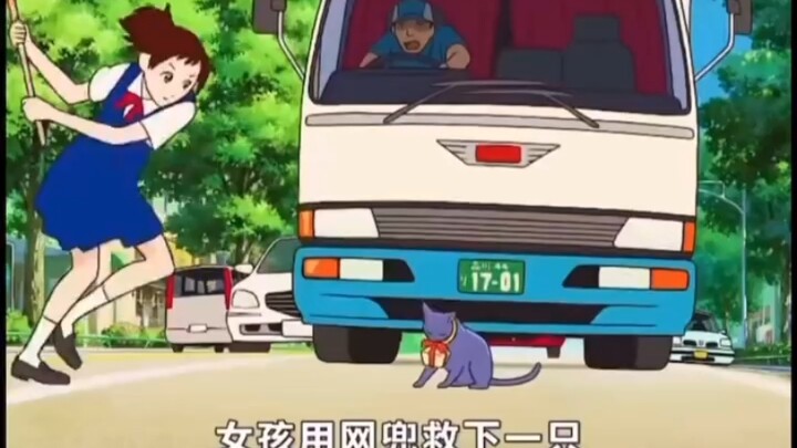 Girl saves a cat about to be hit by a car