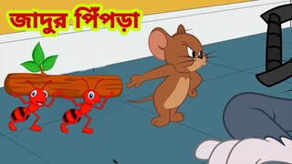 Tom and Jerry | Tom and Jerry Bangla | cartoon | Tom and Jerry cartoon | Bangla Tom and Jerry