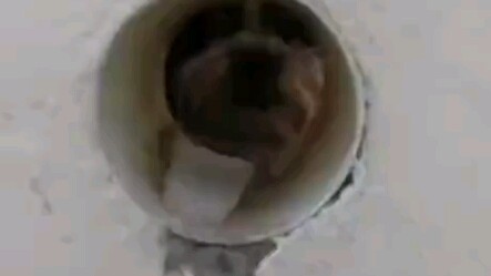 Sa MạcSứ Mệnh Thần Chết