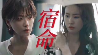 天呢！路边捡到破碎小狗！宿命感拉满！她们真的好般配啊啊啊！！