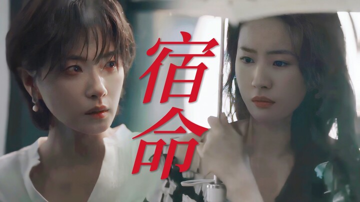 天呢！路边捡到破碎小狗！宿命感拉满！她们真的好般配啊啊啊！！