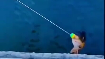 Both anglers and non-anglers fall silent.