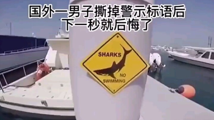 Mungkin ini kenapa orang asing itu sedikit! No Zuo No Die!