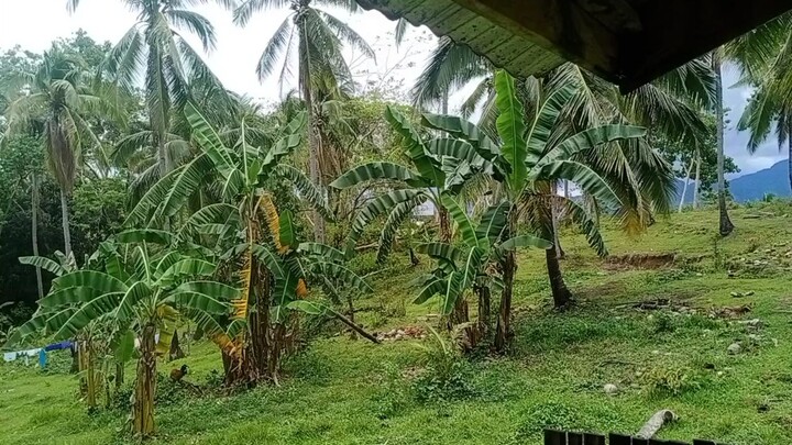 simpleng Buhay lang sa PROBINSYA Peru subrang ganda Ng view mapapa relax ka talaga