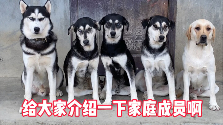 Mau kenalin dulu anggota keluarga aku nih!