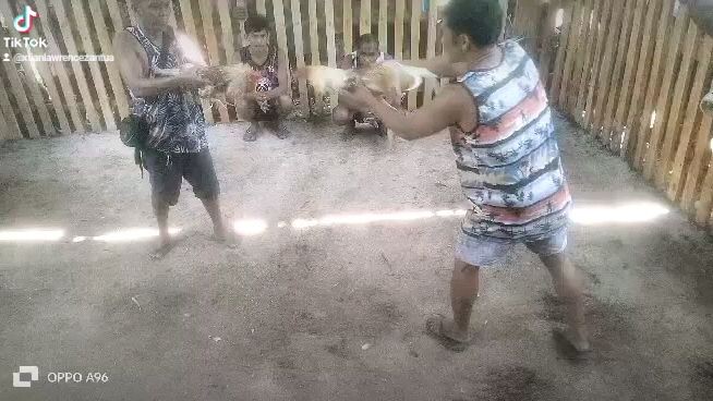 bangkas win