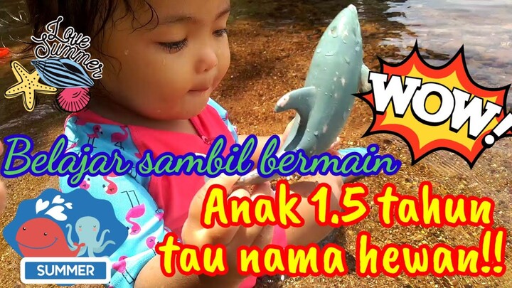 Belajar mengenal nama hewan laut | belajar asik anak batita
