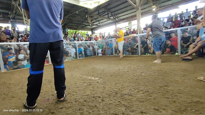 poyloyTari tutorial #8 dom tabla