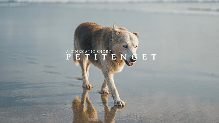 PETITENGET by Commaditya