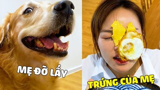 Đại Trang | Khi Mama Nhờ ĐẠI TRANG Vào Bếp và cái kết CÒN CÁI NỊT ~ 🤣 Gâu Đần Official