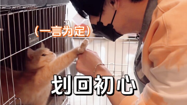 【NCT】The World Is Falling Apart—Let’s Stitch It Back Together, Piece by Piece