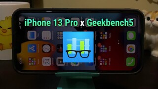 iPhone 13 Pro x Geekbench 5: Scores and Ranking