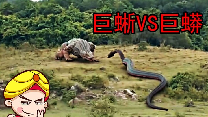 [Đường Đường] Thằn Lằn Khổng Lồ Đại Chiến Mãng Xà: Phim quái vật mới nhất ra mắt với những câu chuyệ