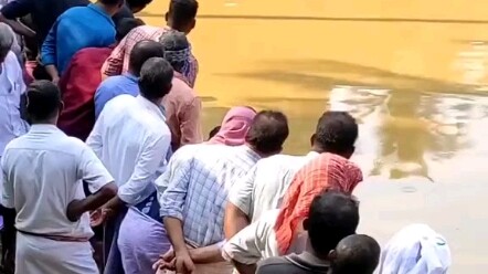 The Tiger of the Nile