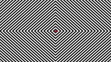INSANE OPTICAL ILLUSION