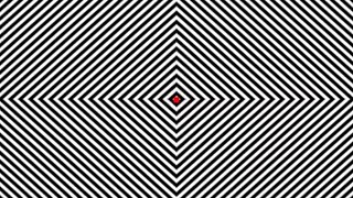 INSANE OPTICAL ILLUSION