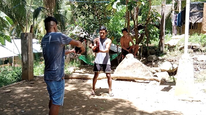 tupada mga idol...subra laki ng kalaban, pula yong sa akin