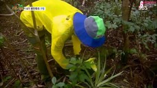 Law of the Jungle Episode 120 Eng Sub #cttro