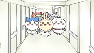 【ちいかわ】يصل الطبيب المعالج لأوساجي، ويبتعد الجميع عن الطريق
