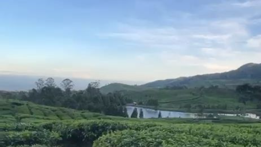 PEMANDANGAN