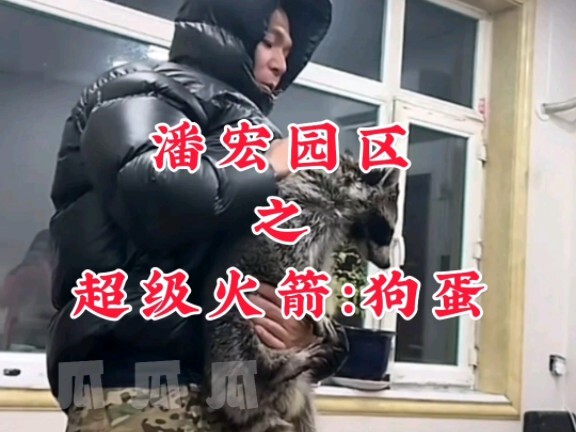 Pan Hong Park’s Super Rocket: Gou Dan (Part 1)