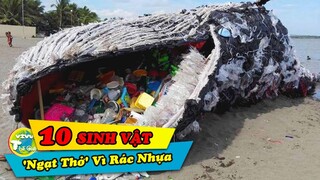 10 Sinh Vật Biển Xấu Số Bị NGẠT THỞ  Bởi Rác Thải Con Người Gây Ra Ở Đáy Đại Dương |Vivu Thế Giới