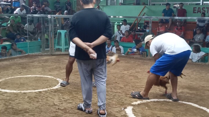 Maliitan lang. #GoldenHennie #BalbonLines