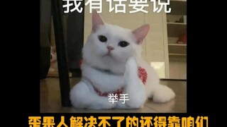 #Từ Minh Hạo #Hàn Quốc #Trung Quốc Những vấn đề không giải quyết được thì vẫn phải nhờ chúng ta thôi