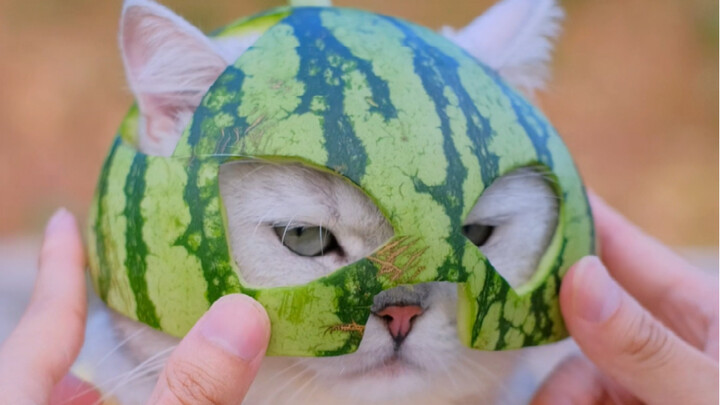 Eat a big watermelon, turn into a little silly fool.