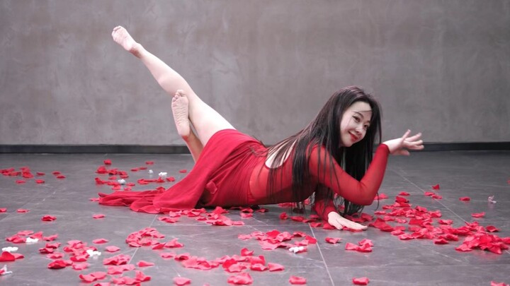 [Lin Xiao C] I brought a pot of wine to watch the flowers bloom and fade ❀ "Xiaoyao" Bai Xiaobai's b