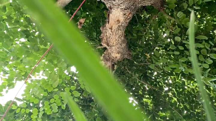 You never know what kind of video you'll stumble upon on Bilibili.