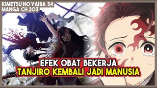 KNY S4 (203) EFEK OBAT BEKERJA!!! Tanjiro Akhirnya Bisa Kembali Menjadi Manusia!!