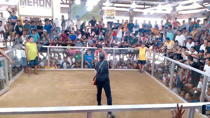 April 07,2024 2nd fight Tubigon Cockpit Arena (Ferrol)