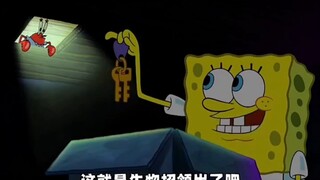 蟹堡王的地窖