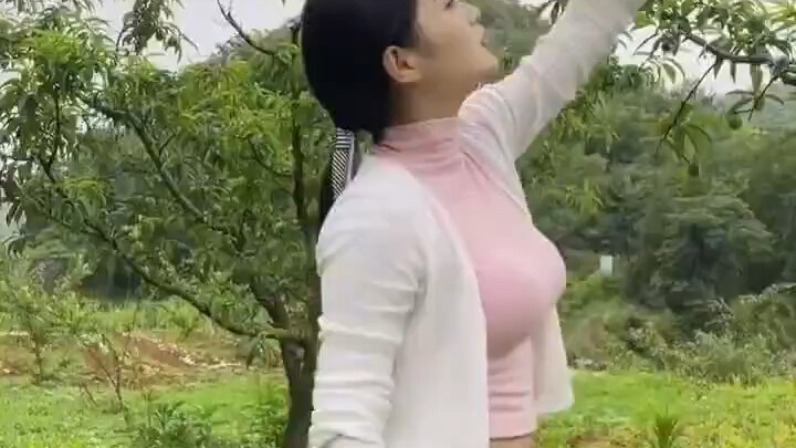มาเก็บผลไม้สักลูก