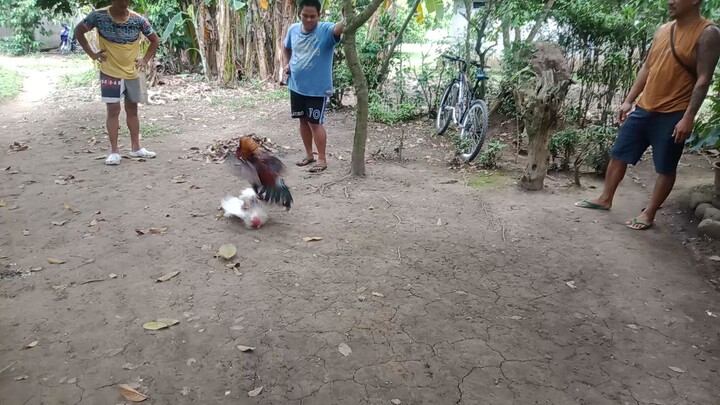 naka chamba 7months ko