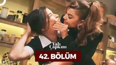 Yalı Çapkını VOSTFR - Épisode 42