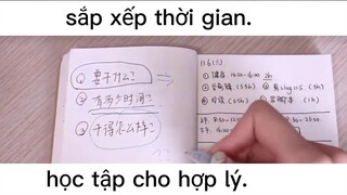 cần phải lưu ý những mẹo sau để trở nên học giỏi#dailyvlog#life#chill