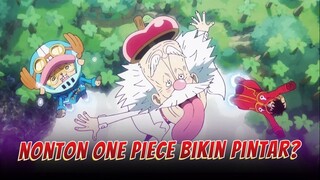 ORANG PINTAR NONTONNYA ONE PIECE!!