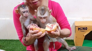 Sono & Liheang Stand Up Happy When Mom Peel Pomegranate Fruit For Them