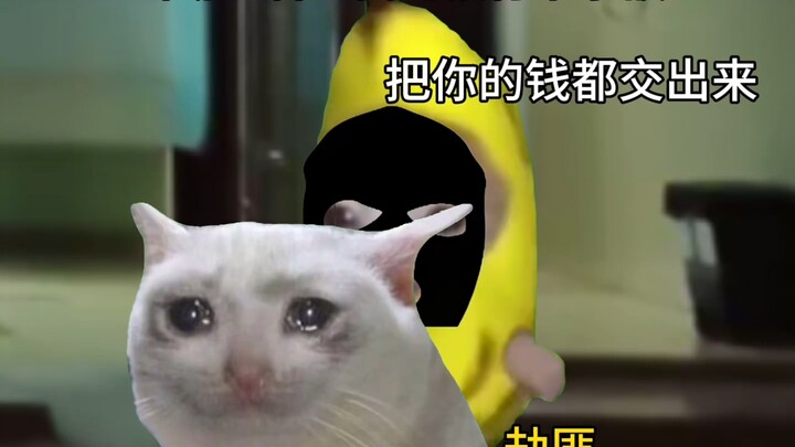 عندما رأى السارق رصيد بطاقتي المصرفية # ميم القطط # مسرحية قطط صغيرة